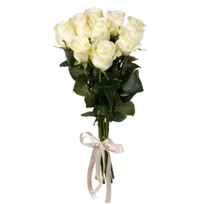 Букет из 9 белых роз