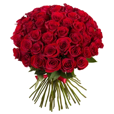 Букет «О, Шарман!» – 51 роскошная эквадорская роза Красноярск Красноярский край